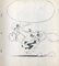 Morris, Jolly Jumper Drawing, Tinta sobre papel, Imagen 1