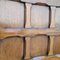 Mid-Century Esszimmerstühle aus massiver Eiche, 4er Set 7