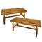 French Bamboo Benches, 1960s, Set of 2 1