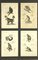 Georges Cuvier, Monkeys and Lemur Studies from Le Règne Animal, France, 1816, Engravings, Framed, Set of 3 1