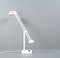 White Metal Modell 7682-151 Swivel Desk Lamp from Hillebrand, 1980s 16