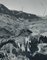 Cacti, Landscape, Rio Grande, USA, 1960s, Black & White Photograph, Image 2