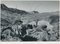 Cacti, Landscape, Rio Grande, USA, 1960s, Black & White Photograph, Image 1