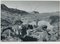Kakteen, Landschaft, Rio Grande, USA, 1960er, Schwarz-Weiß-Fotografie 1