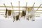 Lampada da soffitto Mid-Century moderna in vetro di Murano e ottone di Carlo Nason per Mazzega, anni '70, Immagine 5
