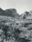 Big Bend National Park, Texas, USA, 1960s, Black & White Photograph 2