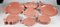 Salmon Colored Plates, Set of 15 1