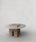 Temple V1 and V2 Low Tables by Edizione Limitata, Set of 2 8