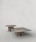 Temple V1 and V2 Low Tables by Edizione Limitata, Set of 2 2