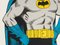 Affiche de Bande Dessinée Batman, The Caped Crusader 5