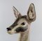 Large Spanish Deer Sculpture in Glazed Ceramic from Lladro, 1970s 3