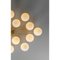 Orion Oval Chandelier by Momentum 4