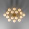 Orion Oval Chandelier by Momentum 2