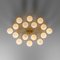Orion Oval Chandelier by Momentum, Image 2