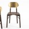 Gold Leaf Beech Structure Stained Bokken Chair by Colé Italia, Set of 2 3