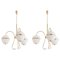Triple China 02 Chandelier by Magic Circus Editions, Set of 3, Image 1