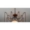 Spider Chandelier by Momentum 6