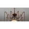 Spider Chandelier by Momentum, Image 6