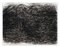 Margaret Neill, Arietta Series 1, 2022, carbone, inchiostro e pastello su carta, Immagine 1