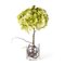 Italian Eternity Cubo Hydrangea Set Arrangement Composition from VGnewtrend 1