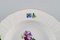 Saxon Flower Deep Plates in Hand-Painted Porcelain from Royal Copenhagen, Set of 7 5