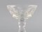 Französische Art Deco Champagner Schalen aus klarem Kristallglas von Baccarat, 9er Set 5