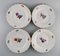 Saxon Flower Dinner Plates in Hand-Painted Porcelain from Royal Copenhagen, Set of 8, Image 2