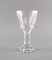 Art Deco French White Wine Glasses in Crystal Glass from Baccarat, Set of 3 3