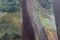 Charles Kvapil, Paesaggio, 1928, olio su tela, con cornice, Immagine 14