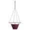 Small Dichas Hanging Planter by Cristina Celestino, Image 1