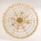 Large German Chandelier in Gilt Brass by Sciolari for Palwa, 1970s, Image 4