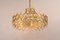 Large German Chandelier in Gilt Brass by Sciolari for Palwa, 1970s 9
