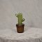 Murano Art Glass Water Green Cactus Plant, 1990 8