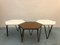 Italian Coffee Tables by Giò Ponti for Isa Bergamo, 1950s, Set of 3 1