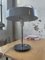 Gray Table Lamp, 1950s 15