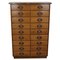 Mid-20th Century German Industrial Oak Apothecary Cabinet, Image 1