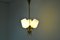 Mid-Century Czechoslovakia Chandelier, 1960s 3