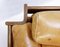 Mid-Century Modern Zeldra Lounge Chairs by Sergio Asti for Poltronova 3
