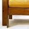Mid-Century Modern Zeldra Lounge Chairs by Sergio Asti for Poltronova 7