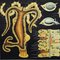 Affiche Murale d'Art Polype d'Eau Douce par Jung Koch Quentell 4