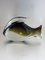 Grey Murano Fish, Image 7