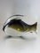 Pesce di Murano grigio, Immagine 7