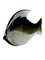 Grey Murano Fish 3