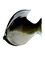 Grey Murano Fish, Image 3