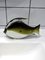 Grey Murano Fish, Image 1