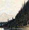 W. Schaufelberger, Lac de montagne, 1914, Olio su cartone, Immagine 5
