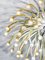Pistillo Applique Chandelier by Tetrarch for Valenti, Image 4