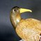Scultura Uccello in vetro soffiato di Oscar Zanetti, Immagine 4