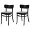 Mzo Chairs by Mazo Design, Set of 2 1