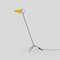 Yellow and Black Cinquanta Floor Lamp by Vittoriano Viganò for Astep 2